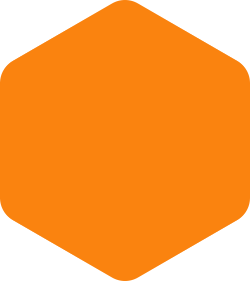 https://sigros.nl/wp-content/uploads/2020/09/hexagon-orange-huge.png